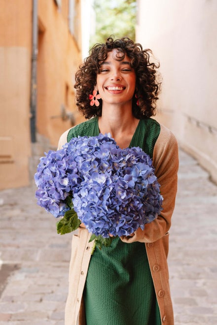 Vanding af hortensia